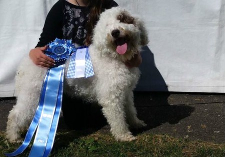 Utställning Norrköping 