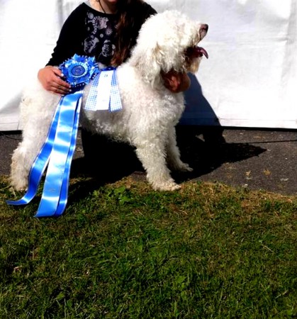 Utställning Norrköping